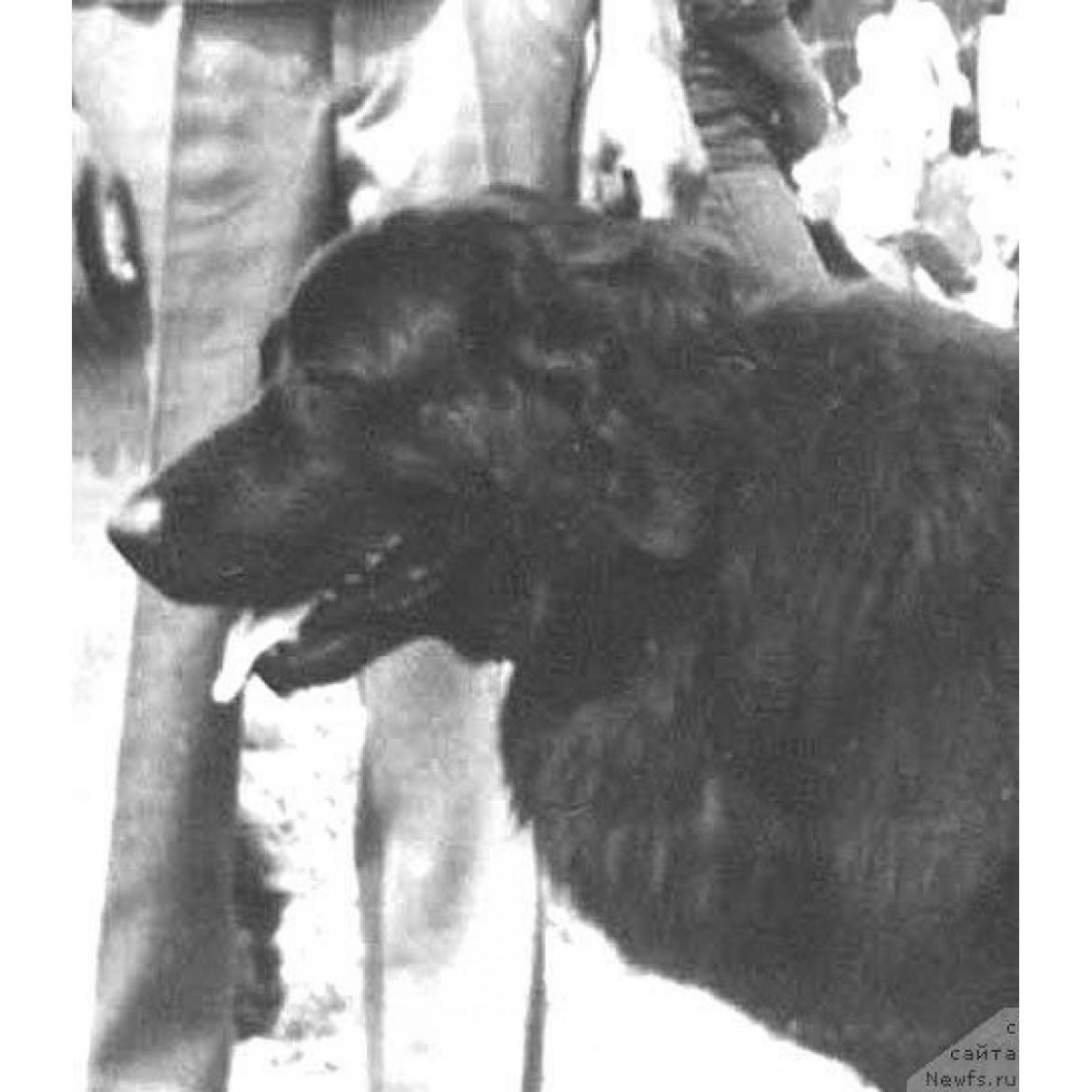 T Urika (24-04-1985)
